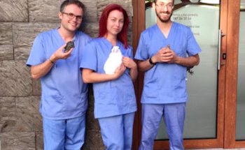 Clínica Veterinaria Axolotl • Veterinario especialista en exóticos, perros y gatos