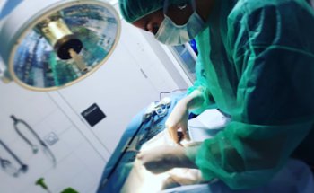 Hospital Veterinario 24 h Ferral