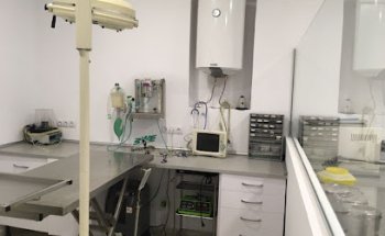 Hospital Felino Madrid