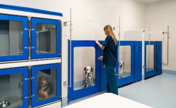 Hospital Veterinario Madrid Centro