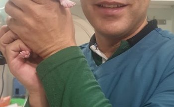 Hospital solidario animalista