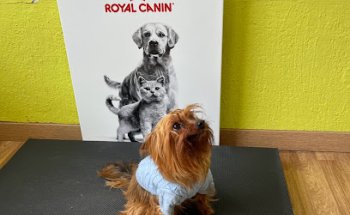 Clínica Veterinaria Parque Berlín