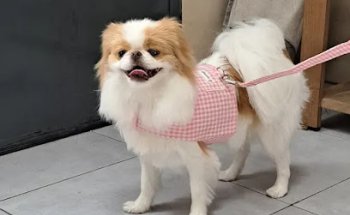 Clínica Veterinaria Jardín Botánico