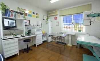 Clínica Veterinaria Pedregalejo