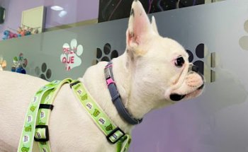 Clínica Veterinaria Dinos