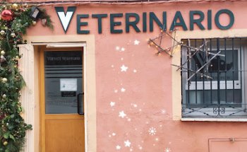 VANVET VETERINARIA
