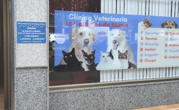 Clínica Veterinaria Los Amigos de María
