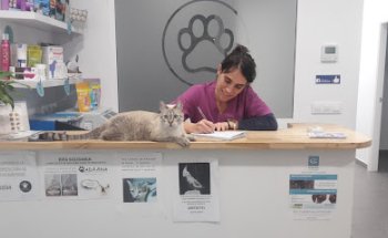 Avenida del Puerto 200, Clínica Veterinaria