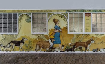 Clínica Veterinaria Blasco Ibáñez 119