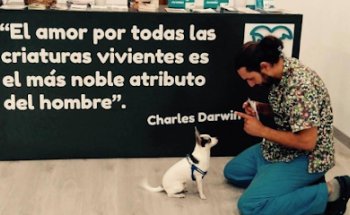Evet clinica veterinaria