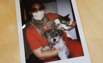 Centre Veterinari El Gat Roig