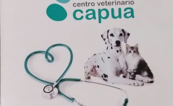 Centro Veterinario Capua SL