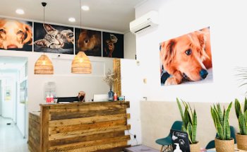 Clínica Veterinaria Mataró