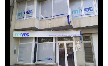 Hospital Veterinari Maresme | MiVet