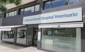 AniCura Estoril Hospital Veterinario | Urgencias 24h