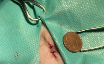 Clínica Veterinaria Sabuvet de Aviles