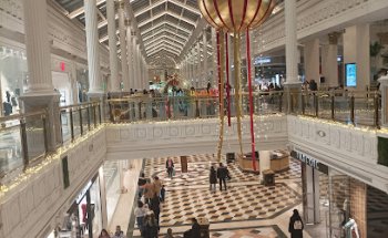 Centro Veterinario El Carmen