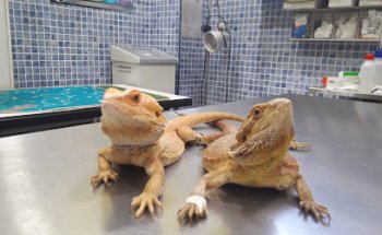 Clínica veterinaria La Granja