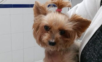 Centro Veterinario Benalmádena Costa