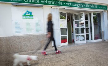 Clínica Veterinaria Dr. Palmer