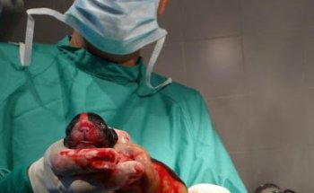 Hospital Veterinari Sant Antoni Abat