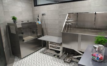 Clínica Veterinaria Dog-Si