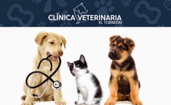 Clínica Veterinaria El Torreón