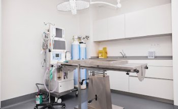 Vetsalud Hospital Veterinario