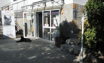 Clinica Veterinaria Pinar de Pozuelo