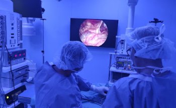 Maurici Batalla Veterinaris