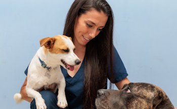 Centro Veterinario El Madroñal