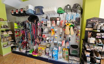 Clinica Veterinaria La Huella