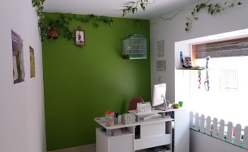 Consultorio Veterinario San Isidro