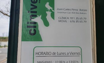 Clinica Veterinaria Es Castell