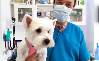 Clinica Veterinaria Mascotas