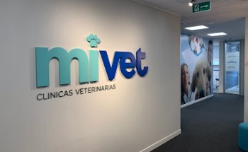Oficinas Centrales | MiVet