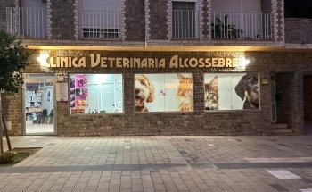 Clínica Veterinaria Alcossebre
