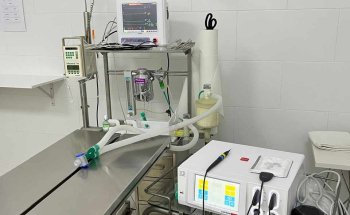 Centre dels Animals Arasa - Clínica i Acupuntura Veterinària