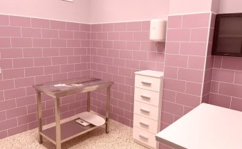 Centre dels Animals Arasa - Clínica i Acupuntura Veterinària