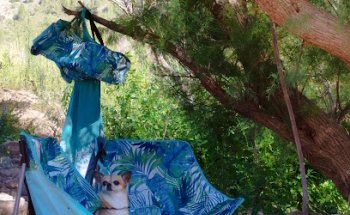 LORIGUILLA VETERINARIA