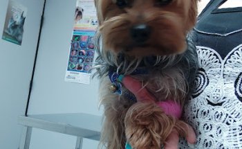 Clínica Veterinaria Guaza