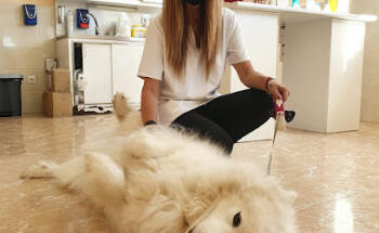 Clínica Veterinaria El Quiñón