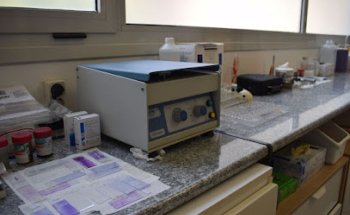 Clinica Veterinari L´Arca