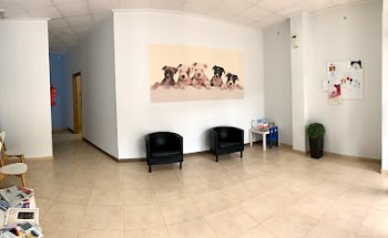 Centre Veterinari Salut Animal