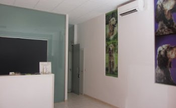 Blázquez Clínica Veterinaria