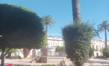 Centro veterinario ramos-neble