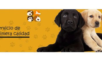 Clínica Veterinaria Dog And Cat