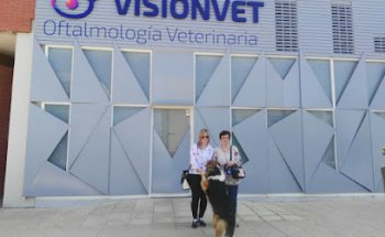 Visionvet Oftalmología Veterinaria