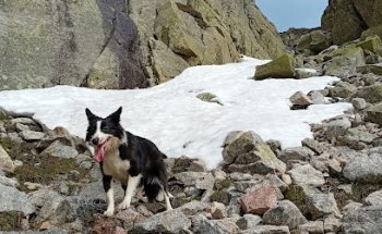 Centro Veterinario Eurocan (Urgencias y Hospitalización)