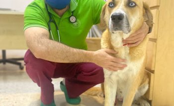 Centro Veterinario Ardila-Guillena